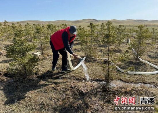 图为工作人员为种植的苗木浇水。兴宣供图