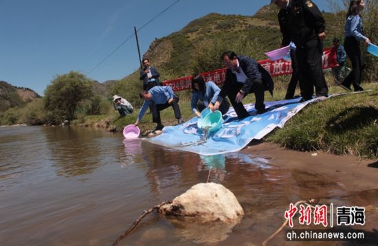 图为增殖放流现场。大通县委宣传部 供图