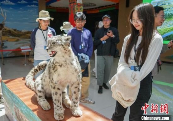 图为嘉宾参访“澜沧江源第一县”青海杂多县的一处生态展厅。马铭言 摄