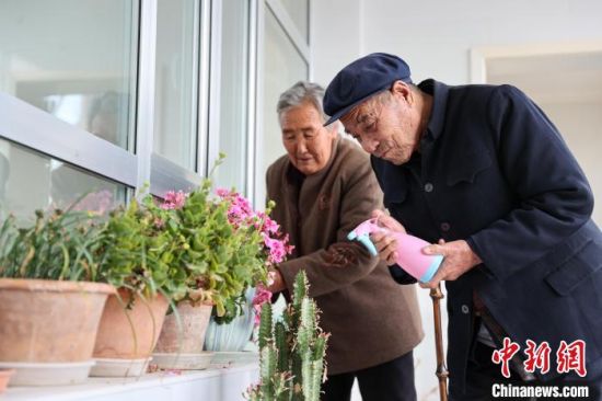 12月6日，青海都兰，史正章老人(右)与老伴一起在家浇花。　薛蒂 摄